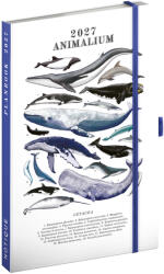 Realsystem Marine Life, Agenda és notesz 2027, 13x21 cm