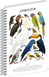 Realsystem Animalium, spirálos, üres notesz - Birds, A5