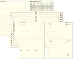 TopTimer 2027 évi napi beosztású kalendárium csomag - L312, Krém (Chamois)