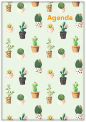 Dayliner Colors, A5 napi beosztású agenda, Cactus