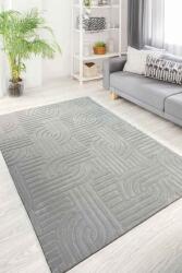 Decomia Home Siena Premium Plush Soft Gray Shaggy Carpet Non-Slip Area Rug for Living Room & Kitchen & Bedroom 100x150 Covor