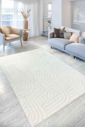 Decomia Home Siena Premium Plush Soft White Shaggy Carpet Non-Slip Area Rug for Living Room & Kitchen & Bedroom 100x150 Covor