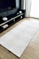  Hilda Premium Plush Soft Shaggy Rug Non-Slip Area Rug for Living Room & Kitchen & Bedroom 80x150 Covor