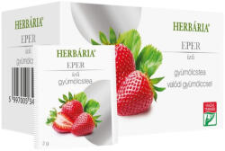 Herbária eper filteres gyümölcstea 20 db