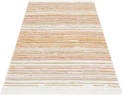 Conceptum Hypnose szőnyeg (80 x 150) Multicolor Ar 35 - Multy