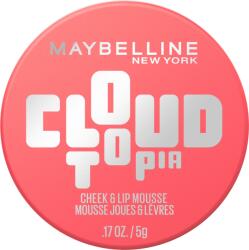 Maybelline new york Руж и червило 2в1 Cloudtopia, Nr. 07 Moonlit Rose, 5 g (3118543)