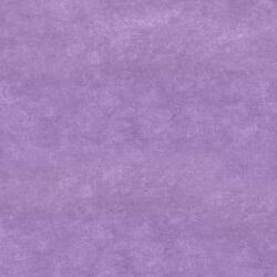 Conceptum Hypnose Carpet (50 x 80) Purple Wookece1254