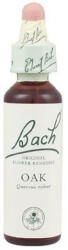 Vedra Esență florală Bach Flower Remedies Oak N°22, 20 ml, Vedra