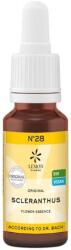 Lemon Pharma Esență florală Scleranthus N°28, 20 ml, Lemon Pharma