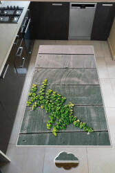 Conceptum Hypnose Carpet (60 x 100) Multicolor Wookece190