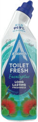 Astonish WC frissítő gél eukaliptusz illattal 750 ml