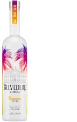 BELVEDERE Summer Edition Vodka Magnum [1, 75L|40%] - diszkontital