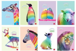 Pigna Füzet Pigna Animal Rainbow A/4 tűzött 38 lapos vonalas, margós (02326220C)