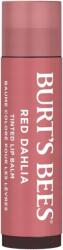 Burt's Bees Red Dahlia Ajakszín Átlátszó Hidratáló Shea vaj (79285089464)