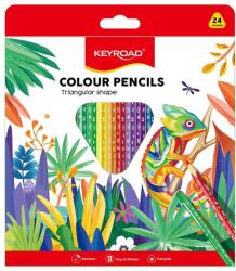 Vlnka Creioane colorate triunghiulare KEYROAD 24 buc Carte de colorat