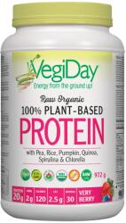 Natural Factors VegiDay Raw Organic Plant-Based Protein, 936 g, Natural Factors