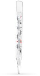 Haxe Termometru medical fara mercur Haxe CRW-1108 - cu galinstan, etui cu sistem pentru scuturare (6942895980057)