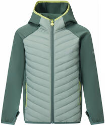Regatta Junior Andreson Hybrid Mărime copii: 128-134 / Culoare: verde (RKN209 0QD C08)