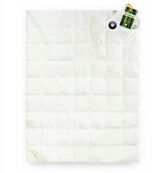 AMZ Paplan 135x200 4 Évszakok Exclusive Dream Krém (5903887143257)
