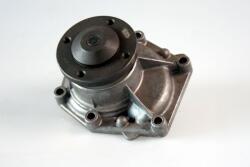 HEPU Pompă de apă, răcire motor HEPU P9902 (P9902)