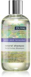 Olival Micellar Mint and Lavender șampon micelar pentru păr uscat și deteriorat 250 ml