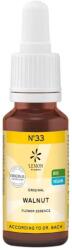 Lemon Pharma Esență colorată Walnut N°33, 20 ml, Lemon Pharma