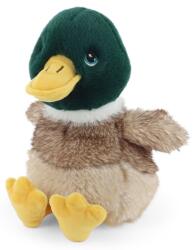 Keel Toys Jucărie de pluș Keel Toys Keeleco - Rață cu cap verde, 18 cm (SE4975)