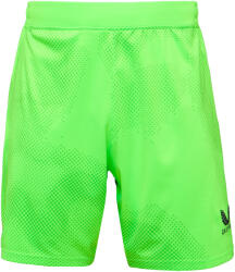 CASTORE SK SLAVIA PRAGUE AWAY GOALKEEPER SHORT Verde, Negru L (PSM00943SPR-I004)