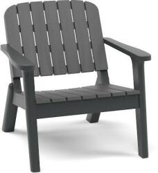 Hanah Home Chair Anthracite Charcoal Silva - Anthracite, Charcoal