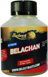 Select Baits Lichid Select Baits Belachan Activator (SC0225) - pcone