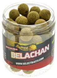 Select Baits Boilies de carlig Select Baits Hard Hookbaits Belachan (SHH0320) - pcone