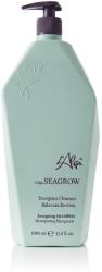L'Alga SEAGROW Energizing Shampoo 1000 ml - parfimo