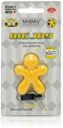 Mr&Mrs Fragrance Big Joy Tuberose Parfumuri de mașină 1 buc typ Vanilla