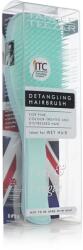 Tangle Teezer Fine & Fragile Detangling Hairbrush culoare Jade Lagoon