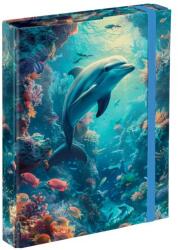 Baagl Dosar pentru caiete școlare A5 Delfin (A-34822)