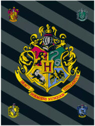 Warner Bros. Interactive Harry Potter polár takaró, pléd 100x150 cm Nr4
