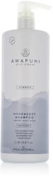 Paul Mitchell Awapuhi Wild Ginger Hydrate Hydrasoft Shampoo 1000 ml - vince