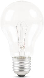 Total Green Bec incandescent 60W E27 24V (EL0030743)