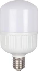 Total Green Bec LED 40W E40 6500K (EL0044654) - energodepot
