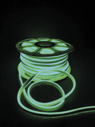 Erste Neon Flex 92 LED pe metru verde IP44 50 m (EL0057363)
