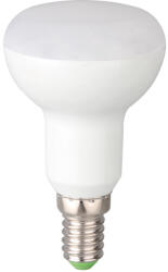 Total Green Bec LED spot R39 4W E14 5000K (EL0056822) - energodepot