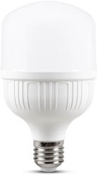 Total Green Bec LED 100W E40 6500K (EL0068385)