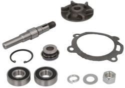 THERMOTEC Set reparatie, pompa apa THERMOTEC WP-MF119 (WP-MF119)