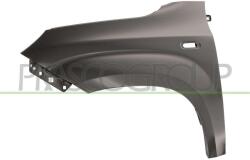 PRASCO Aripa PRASCO FT1243014 (FT1243014) - automobilus