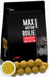Haldorádó HALDORÁDÓ MAX MOTION Boilie Long Life 20 mm Champion Corn (HD28472)