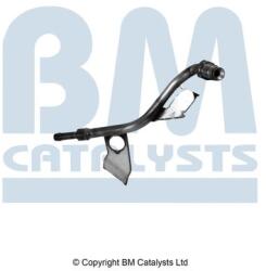 Bm Catalysts Conducta de presiune, senzor de presiune (filtru particule) BM CATALYSTS PP11290A (PP11290A)