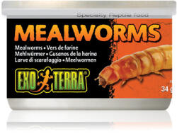 Hagen Mealworms - Lisztkukac konzerv 34g