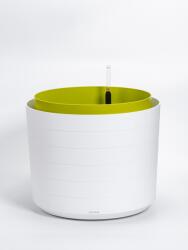 Plastia Ghiveci Berberis de 55 cm, alb+verde, cu auto-udare U170539 (U170539)