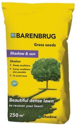 Barenbrug amestec de semințe pentru gazon Shadow and sun 5 kg U10026B (U10026B)