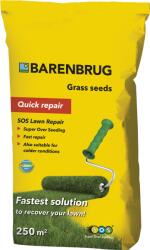 Barenbrug amestec de semințe pentru gazon SOS 5 kg U10020B (U10020B)